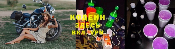 дмт Богородицк