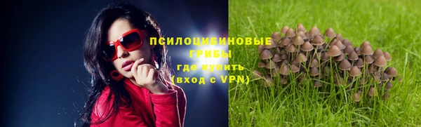 соль курить ск Богданович