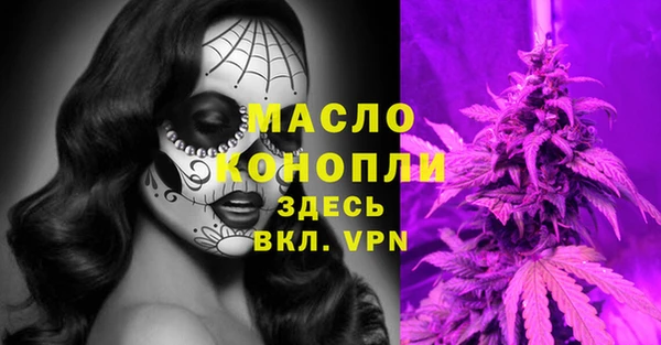 дмт Богородицк