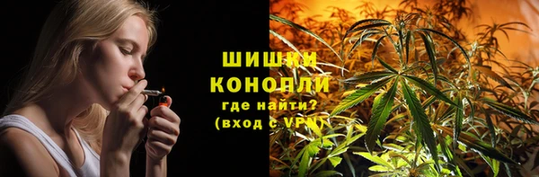 спиды Богородск