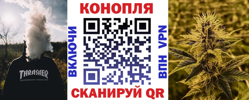Бошки Шишки Amnesia Павловск